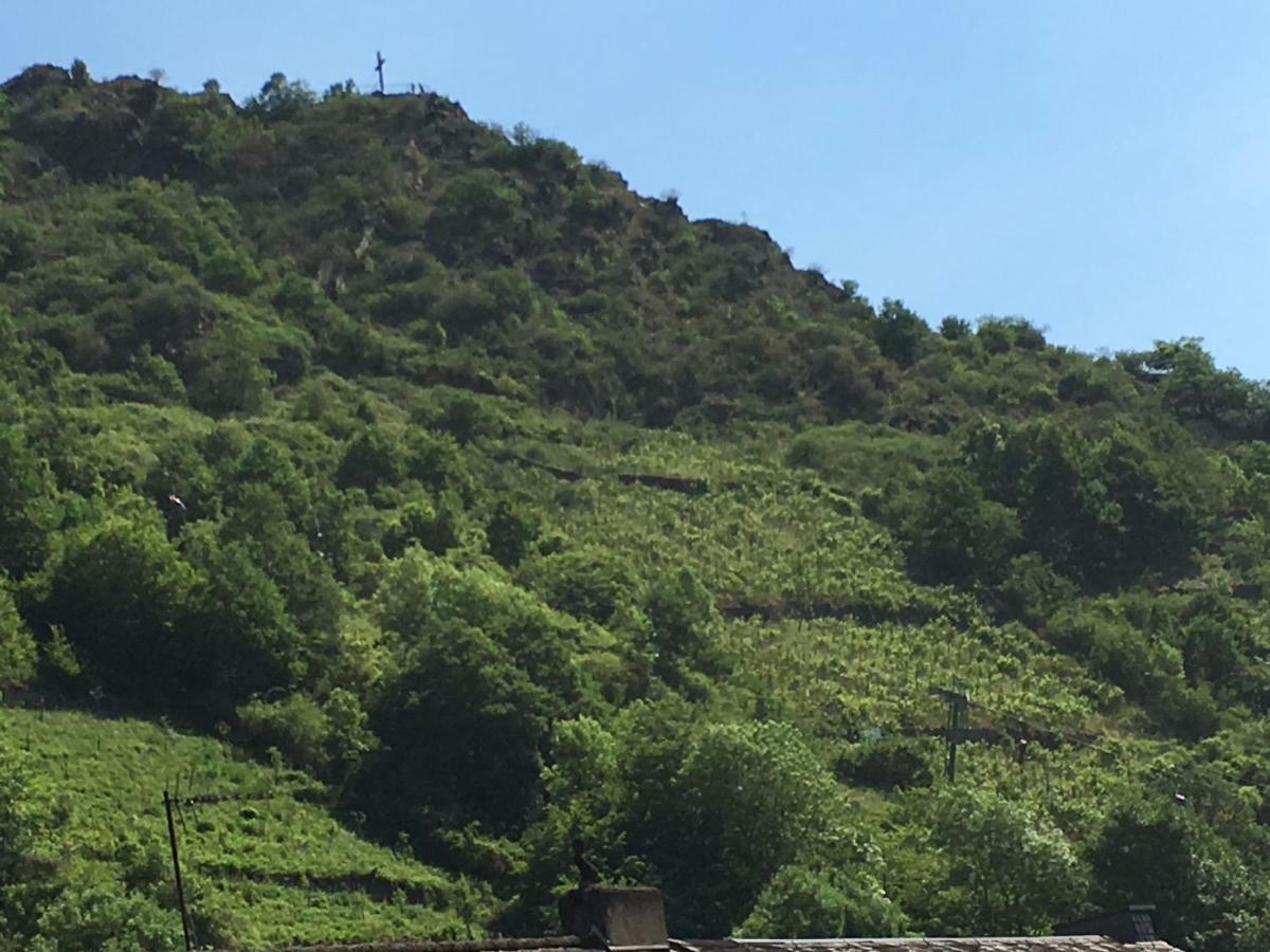Haus Dana Daire Cochem Dış mekan fotoğraf